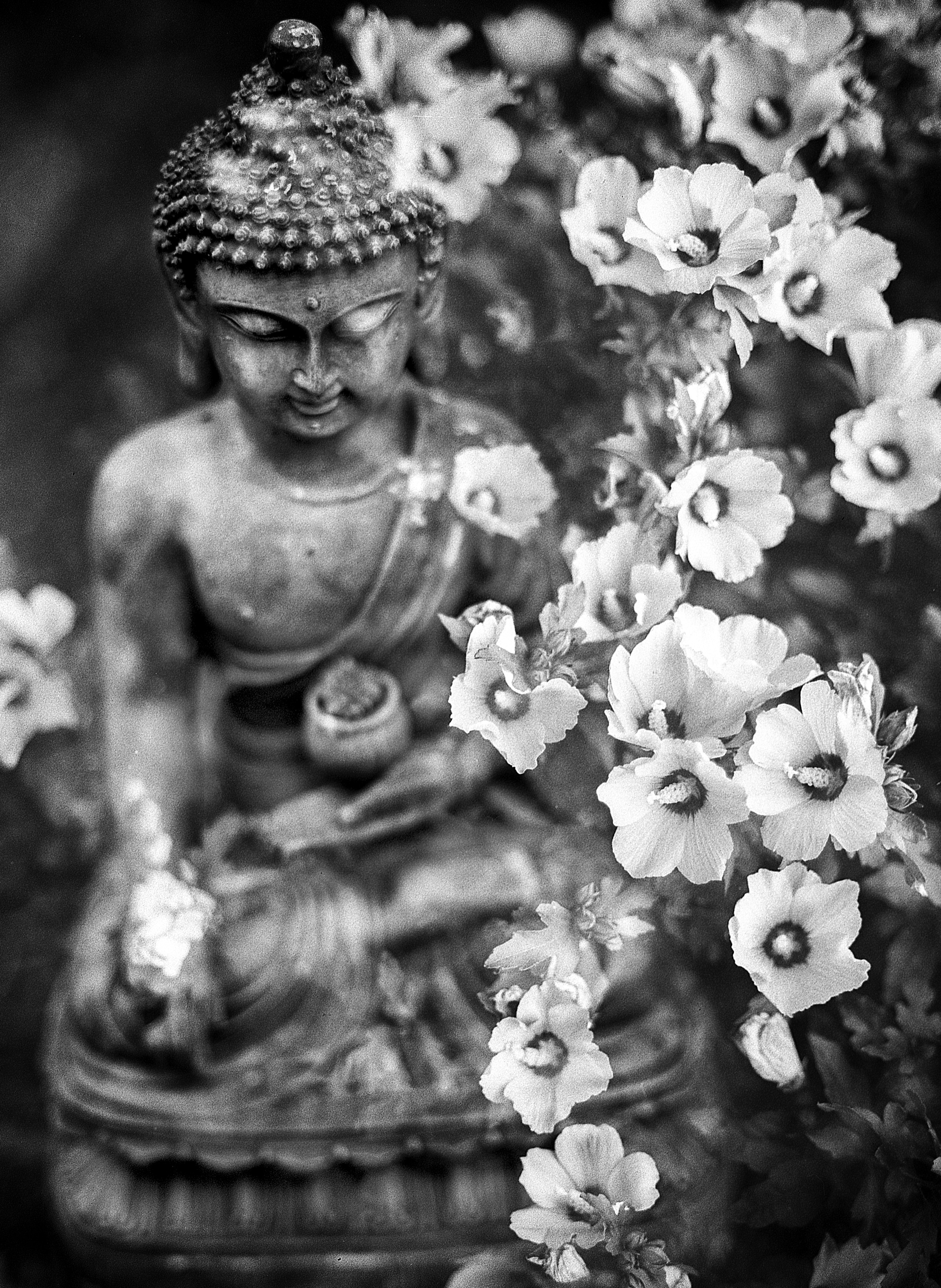 Chill Out - Meditation Guide for Beginners